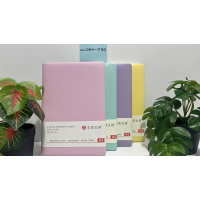 CC054-030 macaron color notebook