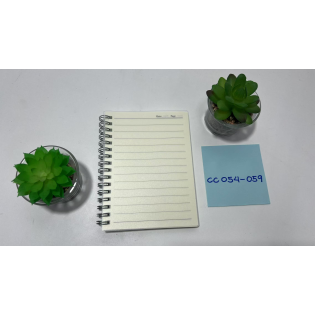 CC054-059 transparent spiral notebook