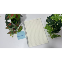 CC054-061 transparent spiral notebook