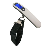 Luggage scale