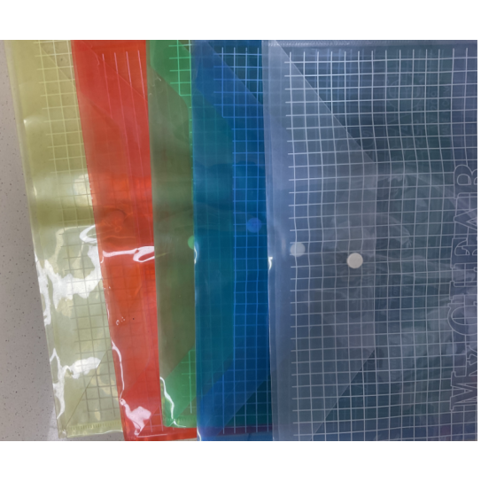 CC066-012 Gridding Button File Bag /FC-209