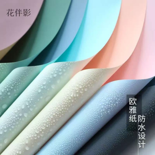 CC068-015 ouya paper 20pcs