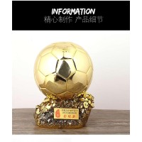 CC089-038 Trophy/21cm