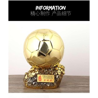 CC089-038 Trophy/21cm