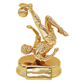 CC089-040 Trophy/18cm