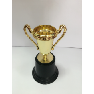 CC089-052 Trophy/513cm
