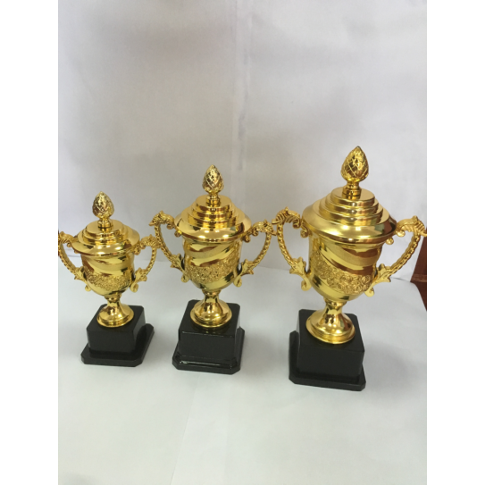 CC089-056 Trophy/22cm