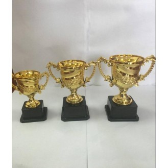 CC089-059 Trophy/17cm