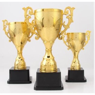 CC089-063 Trophy/17CM