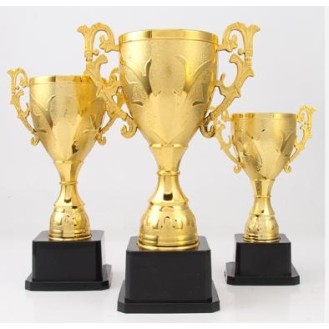 CC089-063 Trophy/17CM