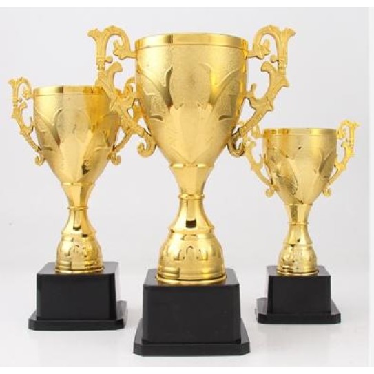 CC089-063 Trophy/17CM