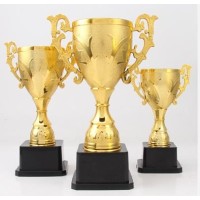 CC089-061 Trophy/24.5CM