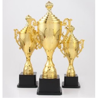 CC089-065 Trophy/24.6cm