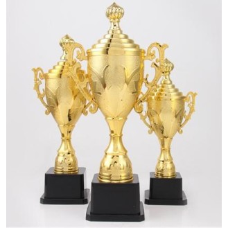 CC089-066 Trophy/21cm