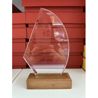 CC089-072 Trophy/21cm