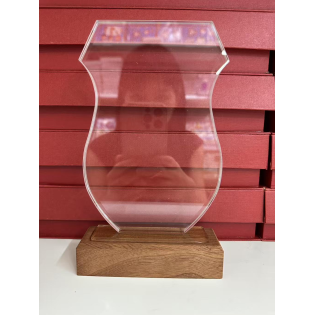 CC089-073 Trophy/21cm