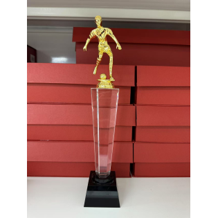 CC089-081 Trophy/31CM