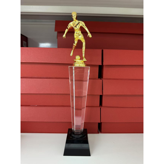 CC089-081 Trophy/31CM