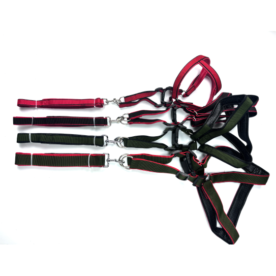 Dog cheststrap+2.0CM