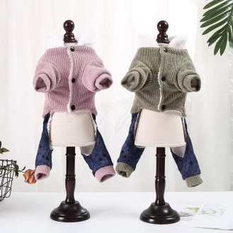Pet clothes
