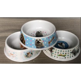 Dog pet bowl