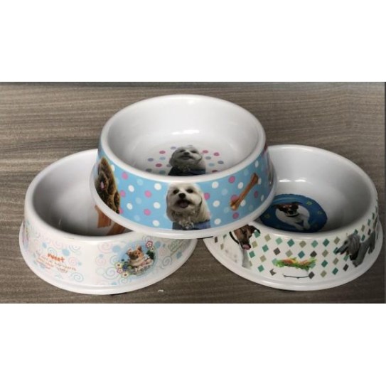 Dog pet bowl