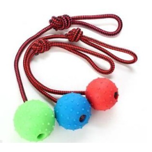 Pet ball with rope