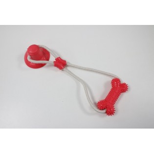 Suction cup bone