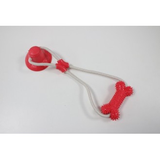 Suction cup bone