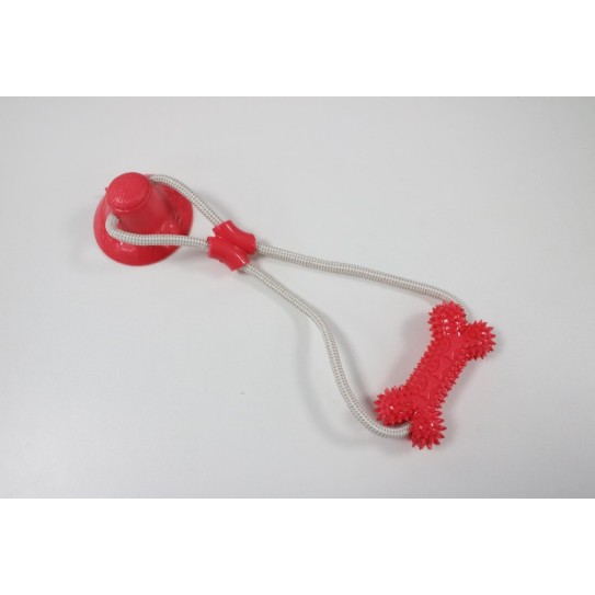Suction cup bone