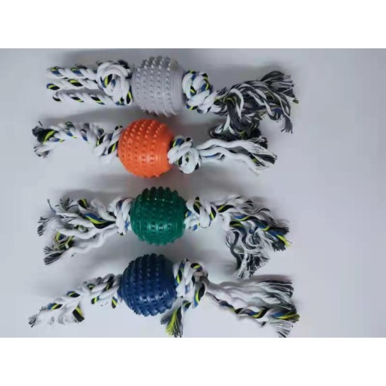 Pet chew toys ball with rope