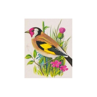 YCEE-paint by number