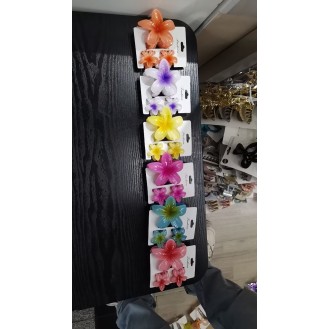 Dull polish L Hearwear clip