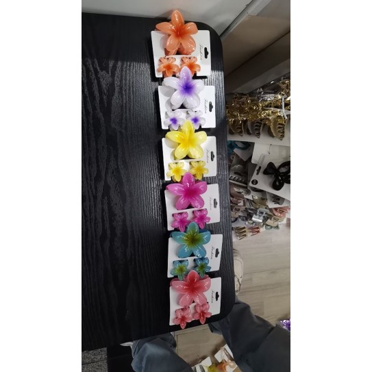 Dull polish L Hearwear clip