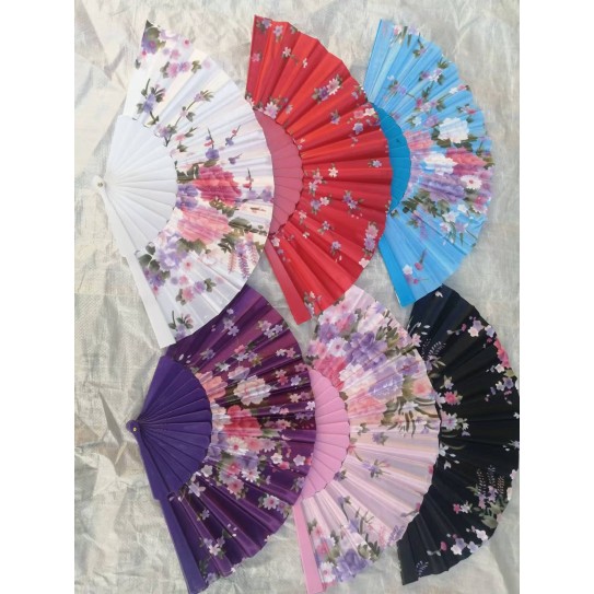 Vibrant Folding Hand Fan