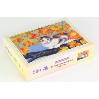 CC155-003 PUZZLE 300pcs