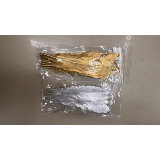 Multi-colored craft feathers.